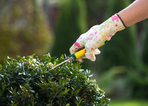 Gardener pruning shrubs in a Finchley garden with safety gear