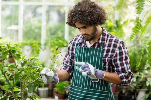 Hedge trimming activity showing safe working practices