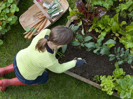 Workers managing garden waste and recycling in a suburban Finchley yard