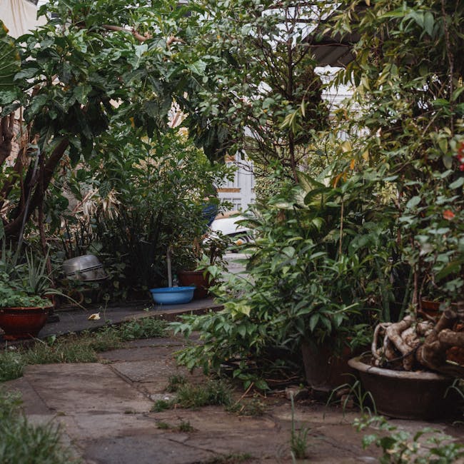 A lush, overgrown garden scene showing a variety of plants, bushes, and small trees with dense green foliage. A narrow stone pathway winds through the garden, bordered by potted plants including a lar